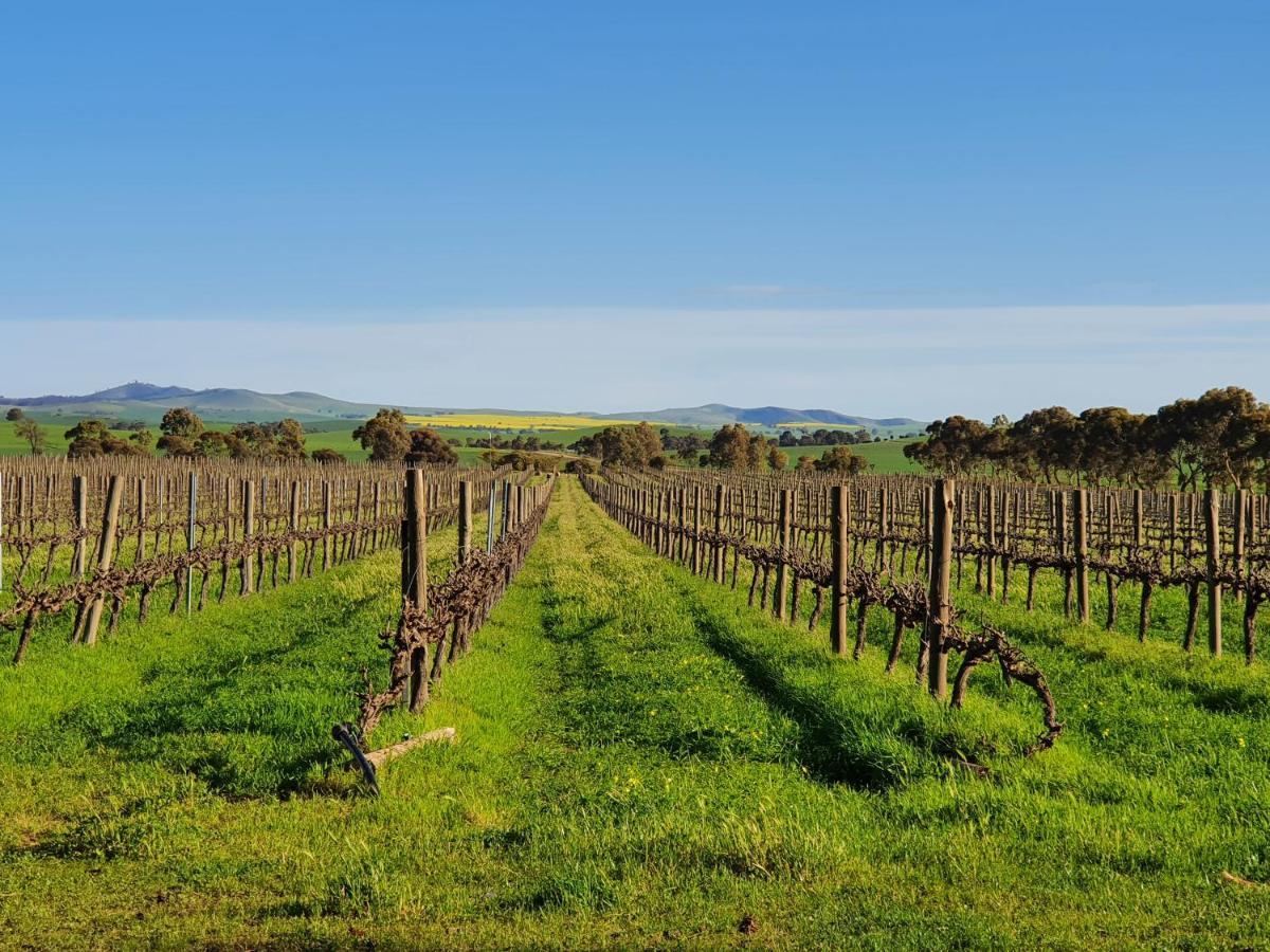 Вилла Belalie Wines Jamestown Экстерьер фото